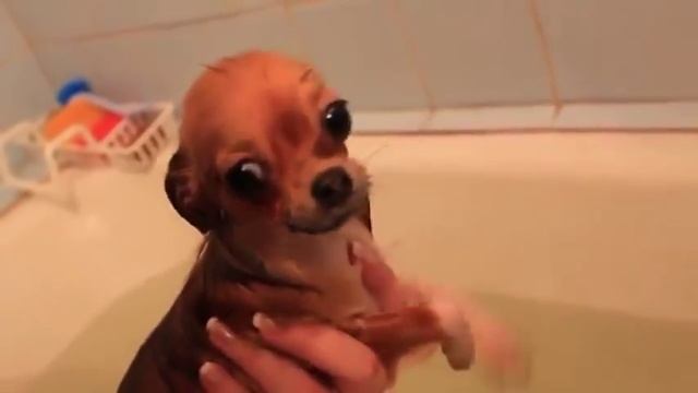 Гигантская волна 8 метров накрыла пляж смотреть онлайн