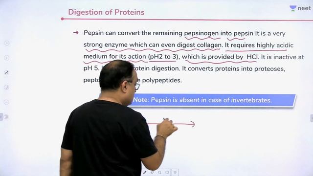 Digestion & Absorption - Lecture 7 | Unacademy NEET | LIVE DAILY | NEET Biology | Dr Sachin Kapur смотреть онлайн