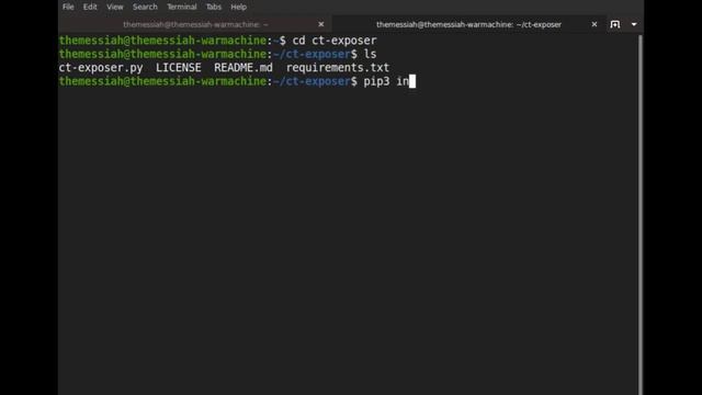 OSINT: Enumerating Subdomain with CT-Exposer смотреть онлайн