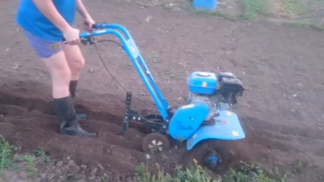 Переезд из города в деревню. Вспашка земли мотоплугом. смотреть онлайн