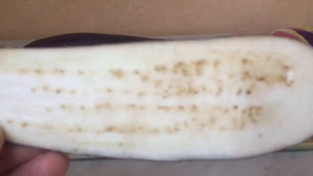 Как собрать семена с баклажана ? Баклажаны из Китая.