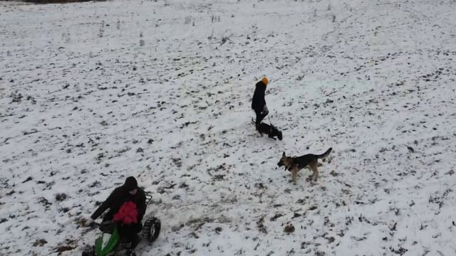 Авентадор (KMK's Rocky Balboa). Курсинг. Тренировка смотреть онлайн