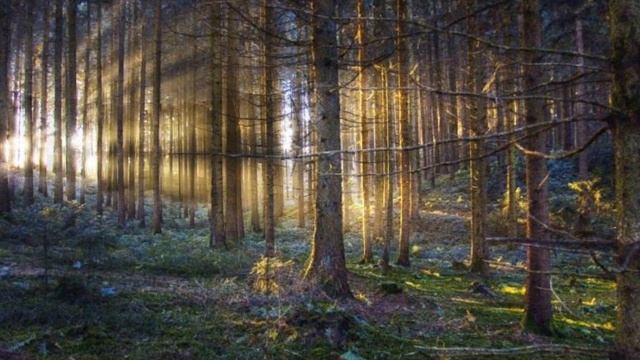 Wow Photo that are worth seeing at least once part-108 Фотографии которые стоит увидеть хотя бы раз смотреть онлайн
