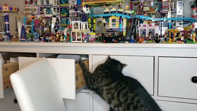 Lego 21164 The Coral Reef vs Cat! #stopmotion #minecraft смотреть онлайн