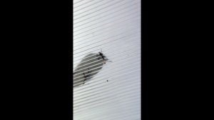 Изделия из пивных кег.