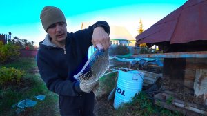 Успели это сделать в последний момент до наступления холодов!