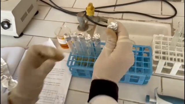 TP1-3 Biochimie : Détermination de la vitesse initiale d'une réaction enzymatique смотреть онлайн