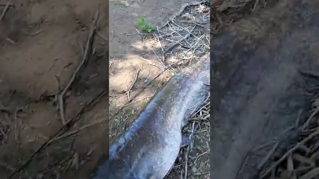 92кг сом в набережных челнах смотреть онлайн