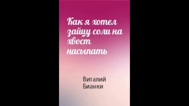 Аудиокнига Как я хотел зайцу соли на хвост насыпать Виталий Бианки смотреть онлайн