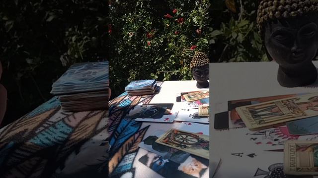 Какие двери открываются для тебя ⁉️ Подсказки от вселенной 💫 смотреть онлайн