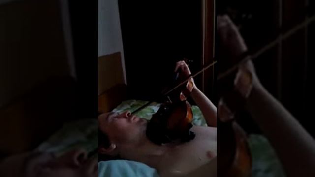 №84, 2 года 3 месяца, Сонце низенько, вечір близенько на скрипке