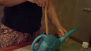 Тайские Аглаонемы! Обработка! Адаптация!!!