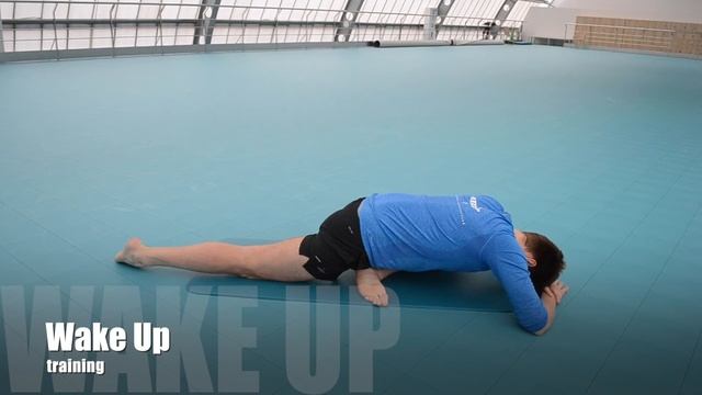 Стрейч как профилактика при болях в спине! Растяжка и вытягивание на каждый день смотреть онлайн
