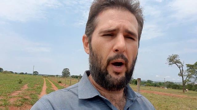 O Perito ta doido pra dar sua opinião, ele pode? смотреть онлайн