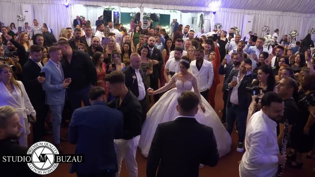 Leo de la Rosiori Am tras draperiile смотреть онлайн