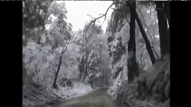 Conociendo Chile, Las Trancas, Chillán смотреть онлайн