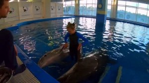 Москвариум ВДНХ = Центр плавания с дельфинами