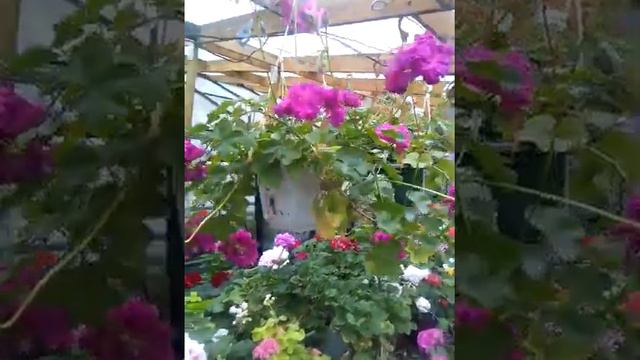 Обзор 4 ноября 2018 г. 1 часть. Тюмень. смотреть онлайн
