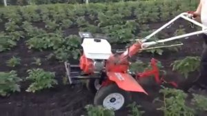 Мотоблок Кубанец МБ-105 7л.с.