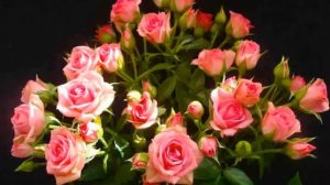 Надя!С днём рождения!