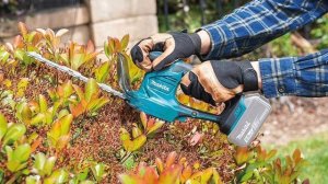 Makita DUM604ZX - Akku Grasschere im Test [KURZ & KOMPAKT] zusammengefasst