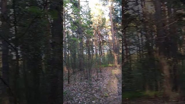 Зацените, как можно кататься на электросамокате Kugoo Max Speed