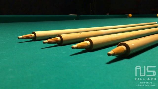 Кии Левитин-Пушкарев