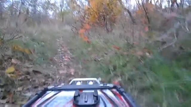 Нарезочка осени в Лесках (S3300) смотреть онлайн