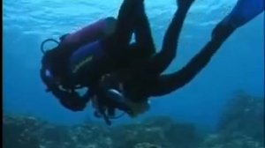 PADI  2й Урок  Дайвинга
