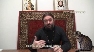 Можно ли кота брать в храм? Протоиерей Андрей Ткачев. Елицы