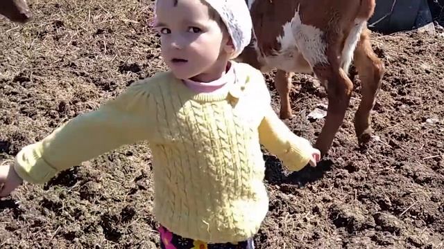 Люблю читать стихи в 3 года Katie Meow смотреть онлайн