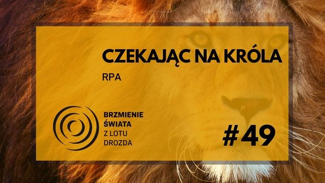 #49 - O Zulusach, Burach i królowej Wiktorii (występuje: Artur Urbański z Torre.pl) смотреть онлайн