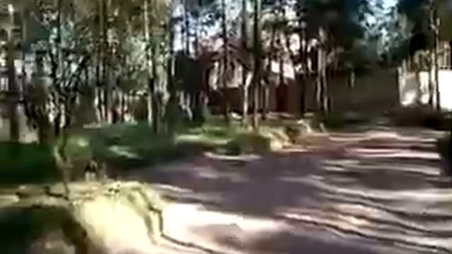 Пласты земли срезают и увозят неизвестные на территории у Елизаветовского котлована смотреть онлайн