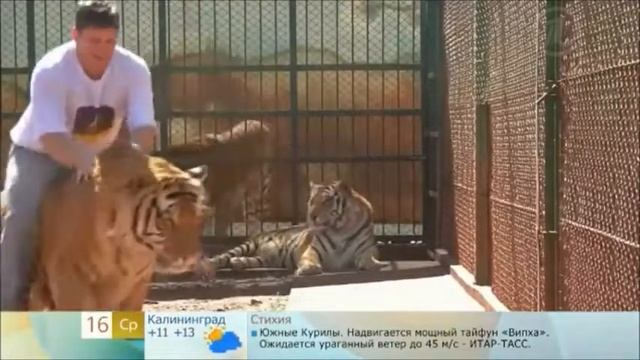 Личный зверинец смотреть онлайн