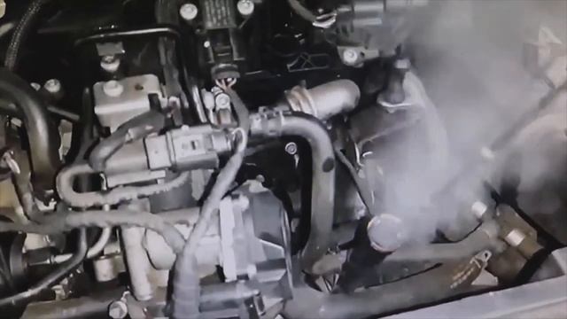 Do These TESTS When SMOKE Comes Out Of The Oil Dipstick