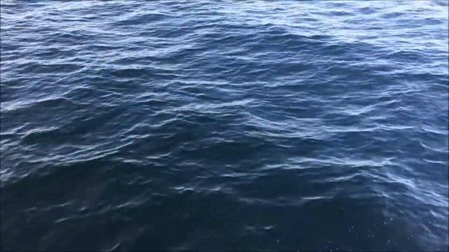 На краю России и здравого смысла. Териберка, Кольский полуостров, сентябрь 2017 смотреть онлайн