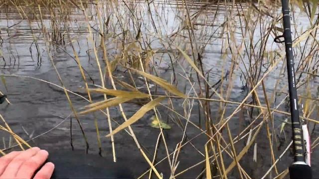 Вуокса. Щуки. Опять рыбалка. смотреть онлайн