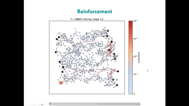 ActInf MorphStream 002.1 ~ Alon Loeffler "From Neuromorphic Nanowire Networks to Neurons" смотреть онлайн