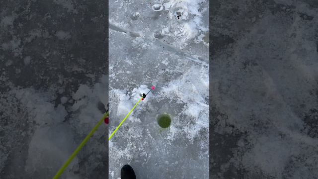 Рыбалка Владивосток смотреть онлайн