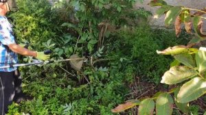 Вечная леска! Катушка для триммера и бензокосы с цепью от бензопилы вместо лески!