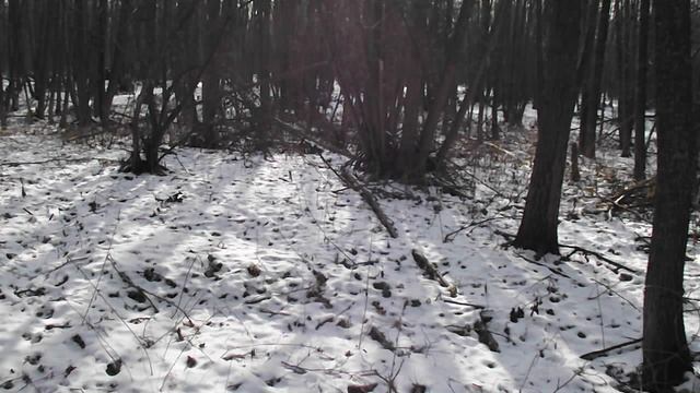 DSCF6122 смотреть онлайн