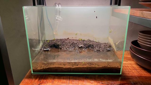 I'm Starting a New Series! The TWIN SCAPE Project Episode #1 смотреть онлайн