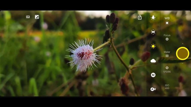 Best DSLR Camera App for Your phone || Take - High Quality Photos ! ? смотреть онлайн