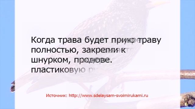 Как сделать скворечник из бутылки смотреть онлайн