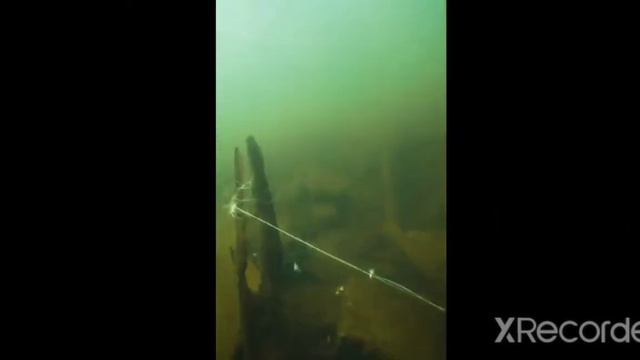 спасение. под водой. водолаз спасает. рыбалка по водой. смотреть онлайн