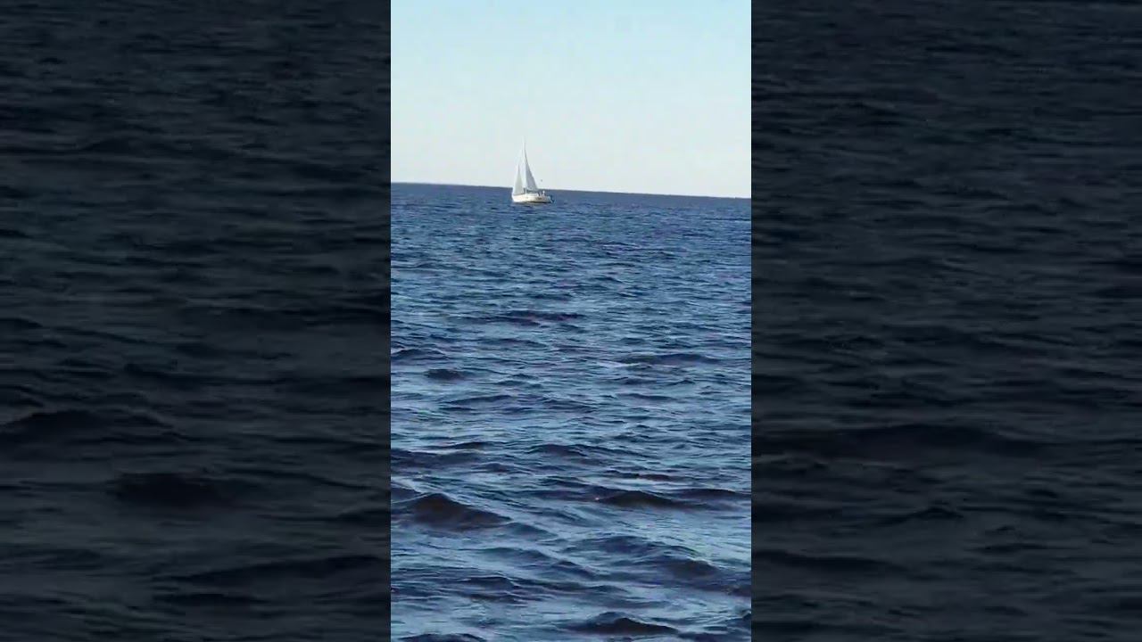 первый парус за две недели смотреть онлайн