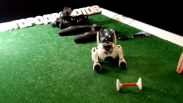 Робо-собака выполняет команды как настоящая смотреть онлайн