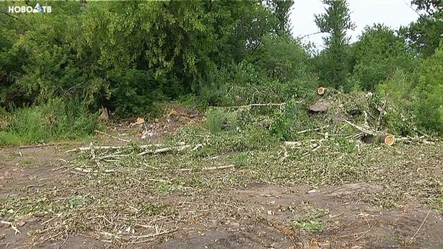 На участке под возведение школы в Дальнем Куйбышево, начался комплекс инженерных изысканий смотреть онлайн