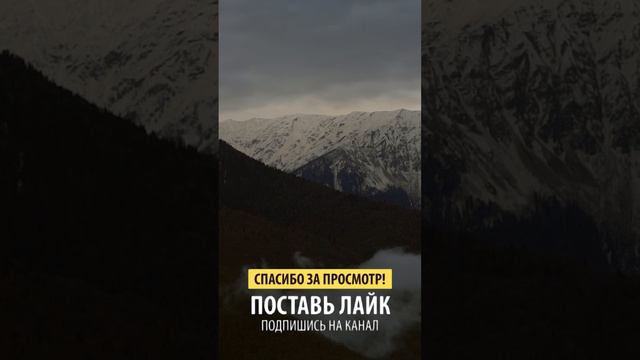 Чего хочет женщина? смотреть онлайн