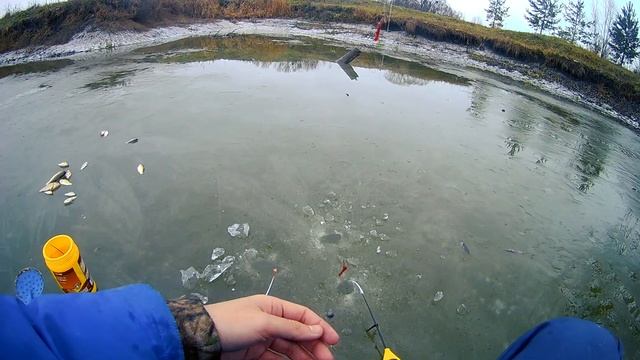 ЛОВЛЯ КАРАСЯ ЗИМОЙ на УДОЧКУ. ЗИМНЯЯ РЫБАЛКА на КАРАСЯ на СОБСТВЕННОМ ПРУДУ. смотреть онлайн